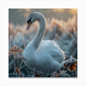 Angel White Swan Canvas Print