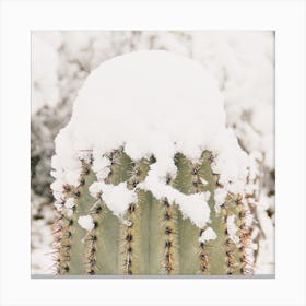 Snowy Saguaro Arm Canvas Print