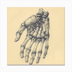 Skeleton Hand 2 Canvas Print