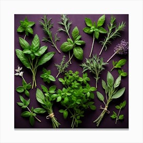 Fresh Herbs On Purple Background 1 Canvas Print