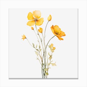 Yellow Poppies 1 Canvas Print