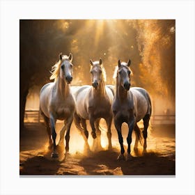 Horses In The Sun Canvas Print