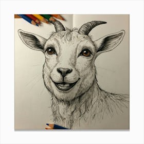 Goat Drawing 25 Canvas Print