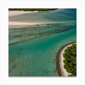 Aerial View Of A Beach 5 Canvas Print