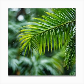 Rainy Day In The Jungle Canvas Print