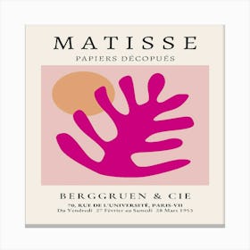 Matisse (12) Canvas Print