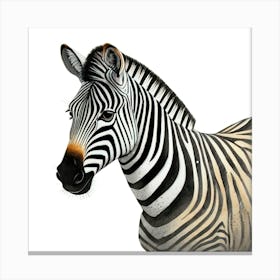 Majestic Zebra Portrait Realistic Safari Animal Canvas Print