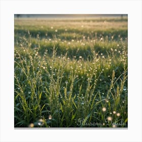 Field in the Prairies Canvas Print