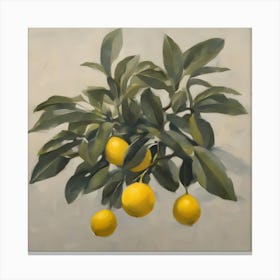 Lemons On A Branch Canvas Print