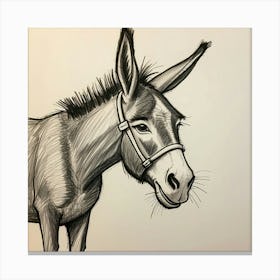 Donkey Drawing Canvas Print