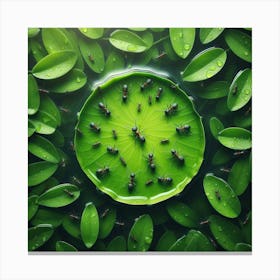 Ants On A Leaf Canvas Print