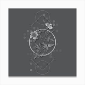 Vintage Indica Stelligera Rose Botanical with Line Motif and Dot Pattern in Ghost Gray n.0269 Canvas Print