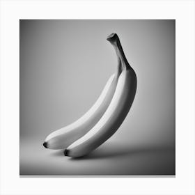 Two Bananas Canvas Print