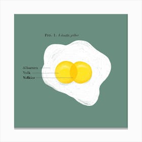 Double Yolker Egg Square Canvas Print
