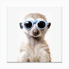 Meerkat In Sunglasses Canvas Print