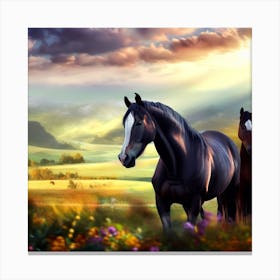 Horses In The Field 1 Canvas Print