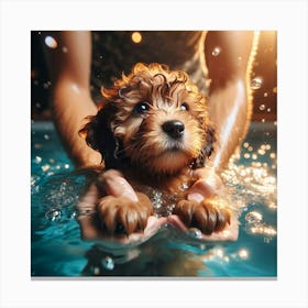 Puppy In A Pool Canvas Print