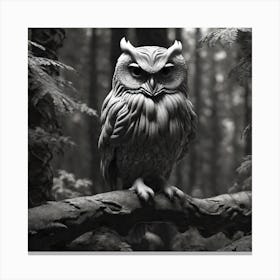 Owl In The Woods 7 Canvas Print