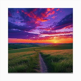 Sunset In The Field 1 Canvas Print