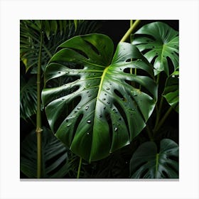 Default Monstera Leaves Photo Art 0 Canvas Print