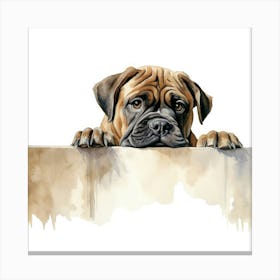 Boxer Dog 16 Canvas Print