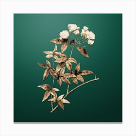 Gold Botanical Lady Bank's Rose on Dark Spring Green Canvas Print