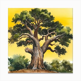 Watercolor Of A Tree 1 Canvas Print