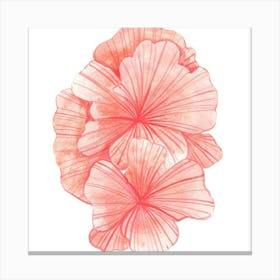 Pink Hibiscus Canvas Print