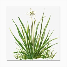 Watercolor-Spring-Grass-Clipart.4 Canvas Print