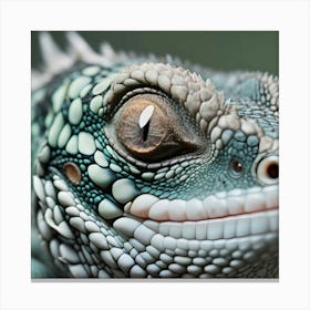 Close Up Of Lizard 2 Canvas Print
