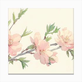 Watercolor Cherry Blossoms Canvas Print