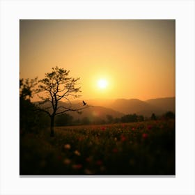 Sunset In A Field Canvas Print