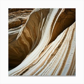 Erosion Wildlife Photography Capturing Water Sculpting The Curves Of A Riverbed With Sedimentary Sa Canvas Print