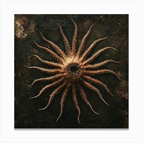 Starfish 3 Canvas Print