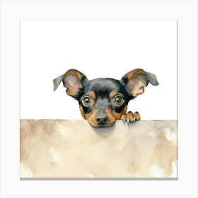 Chihuahua 21 Canvas Print