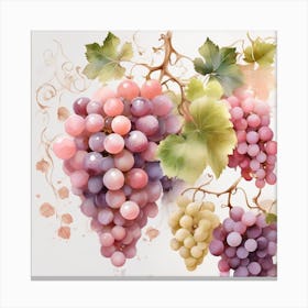 Pink grapes, White grapes, vine Canvas Print