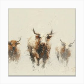 Bulls In The Snow Canvas Print