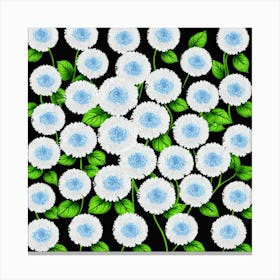 White Chrysanthemums On Black Background Canvas Print