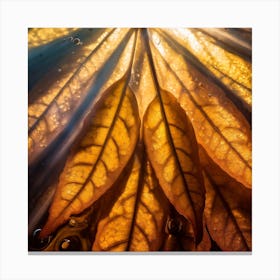 Firefly An Illustration Of Translucent Beautiful Autumn Leaves And Foliage 78207 Canvas Print