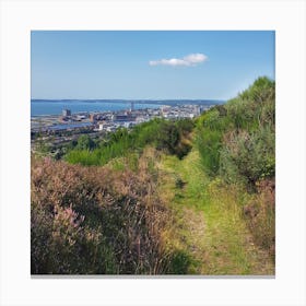 View From The Hill Canvas Print