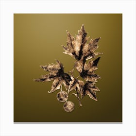 Gold Botanical Old World Sycamore on Dune Yellow n.3016 Canvas Print