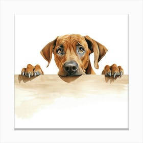 Dachshund 27 Canvas Print