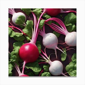 Radishes 56 Canvas Print