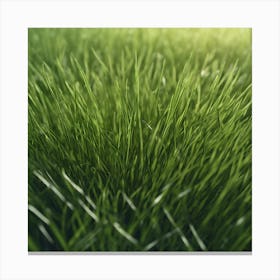 Grass Background 44 Canvas Print