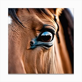 Eye Of The Horse Canvas Print