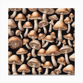 Mushrooms On Black Background 3 Canvas Print