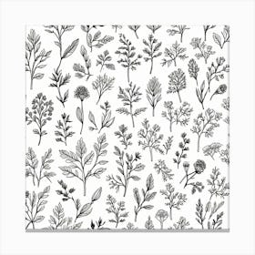 Seamless Pattern Of Herbs Canvas Print