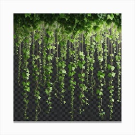 Ivy Vines On A Transparent Background Canvas Print