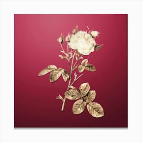 Gold Botanical White Provence Rose on Viva Magenta n.2753 Canvas Print