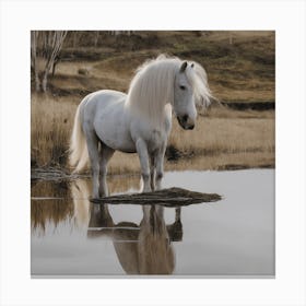 White Horse In Water Canvas Print